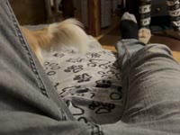 Jsem crossdresser, jsem stále nadržený, miluji všechno kromě jedné věci, je to těžké S/m