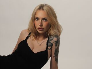 streaming live cam LowerFrancis