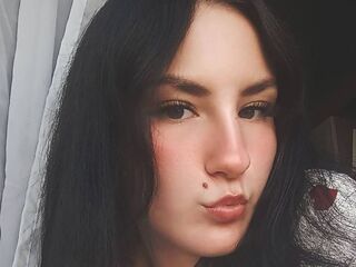 web cam live SadeLanden